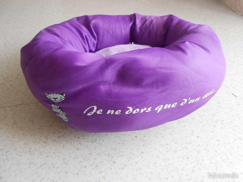 panier chaton 2 62440 Harnes