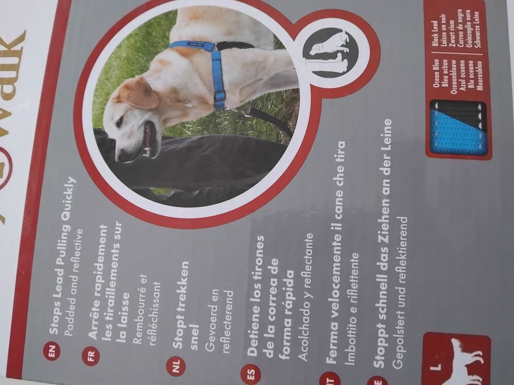 Harnais grand chien 18 67100 Strasbourg