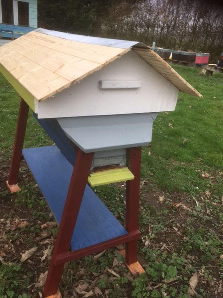 RUCHE KENYANE 290 60390 Auneuil