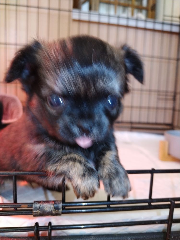 &Agrave; r&eacute;server pour d&eacute;but avril  690 86320 Lussac-les-ch�teaux