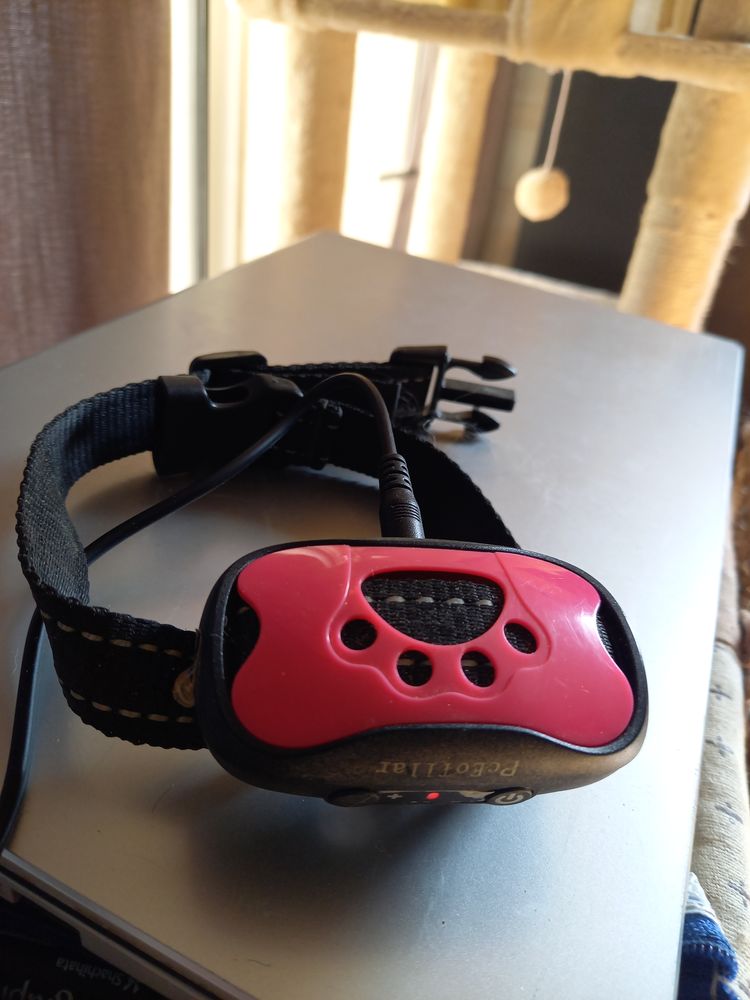 Collier d'&eacute;ducation chien 15 83140 Six-fours-les-plages