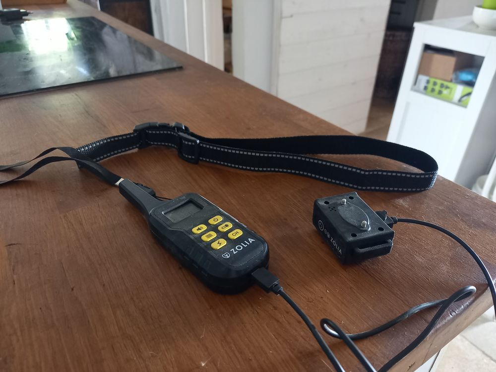 Collier d'&eacute;ducation CHIEN 15 83140 Six-fours-les-plages