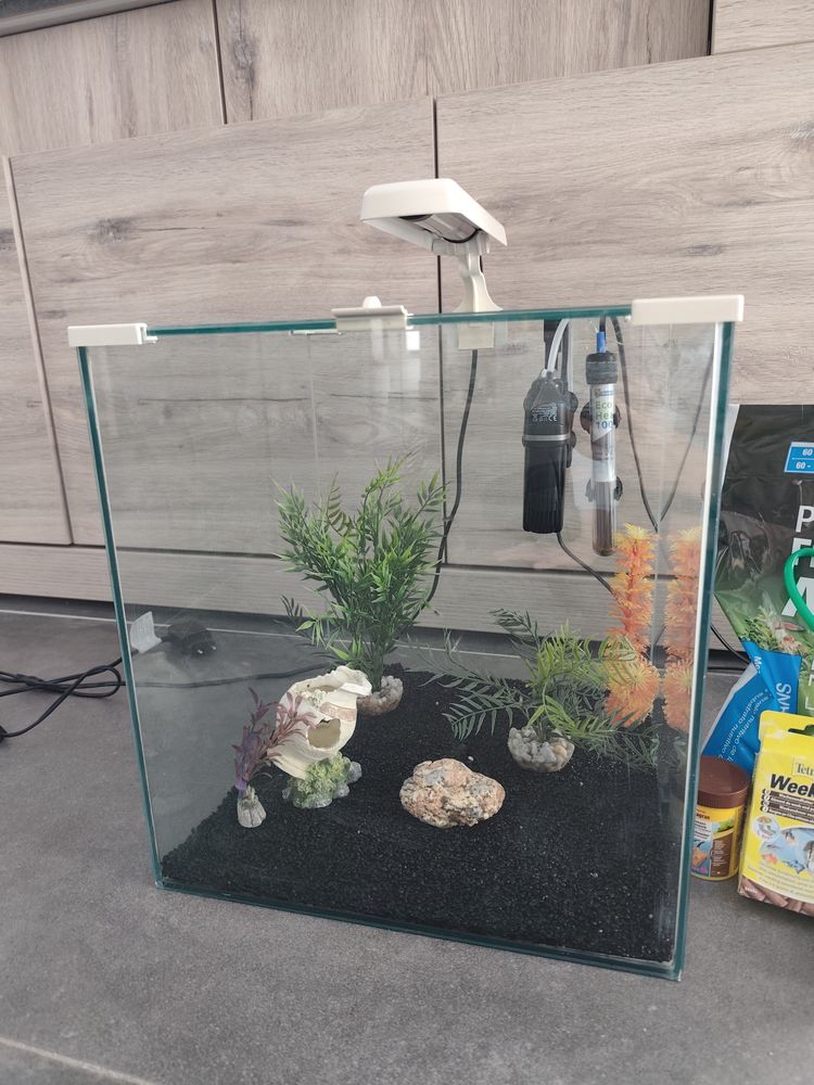 Aquarium complet 50 59530 Orsinval