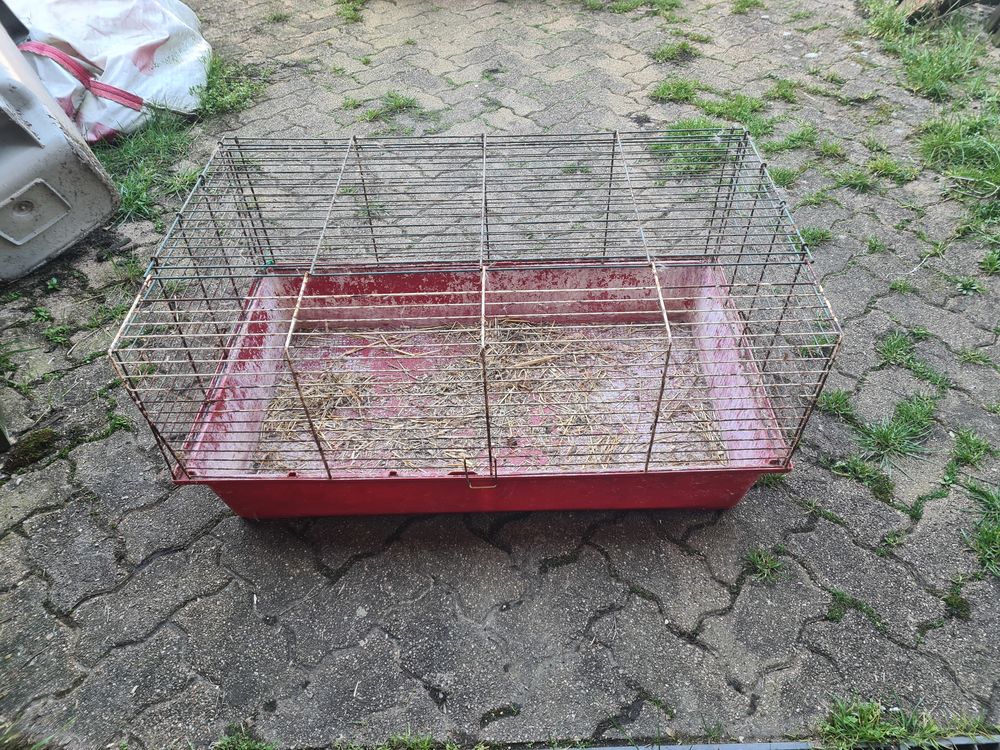 Cages volailles rongeur 40 89140 Michery