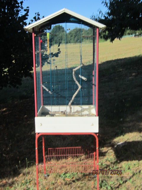 cage oiseaux 35 71370 L'abergement-sainte-colombe