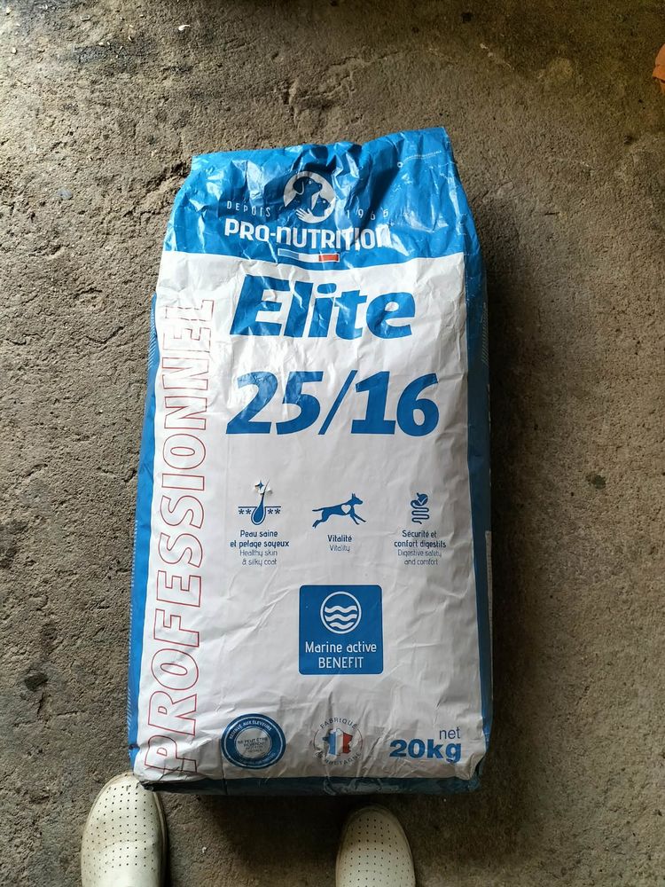 Croquette pour chien 20kg (neuf) 26 42700 Firminy