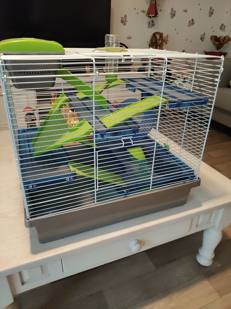 Cages &agrave; hamster 100 10420 Les no�s-pr�s-troyes
