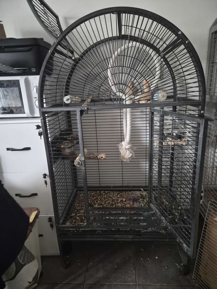 2 Cages a perroquet et 1 cage calopsitte
A negocier 1 38560 Champ-sur-drac