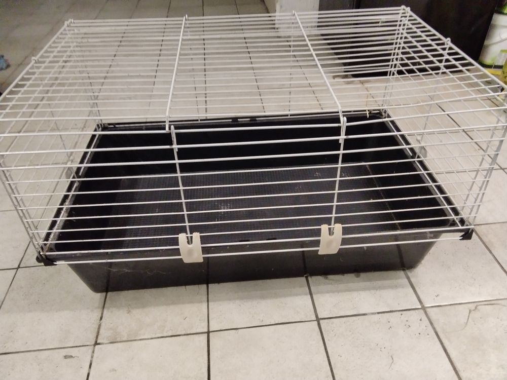 Cages pour rongeurs 20 78200 Magnanville