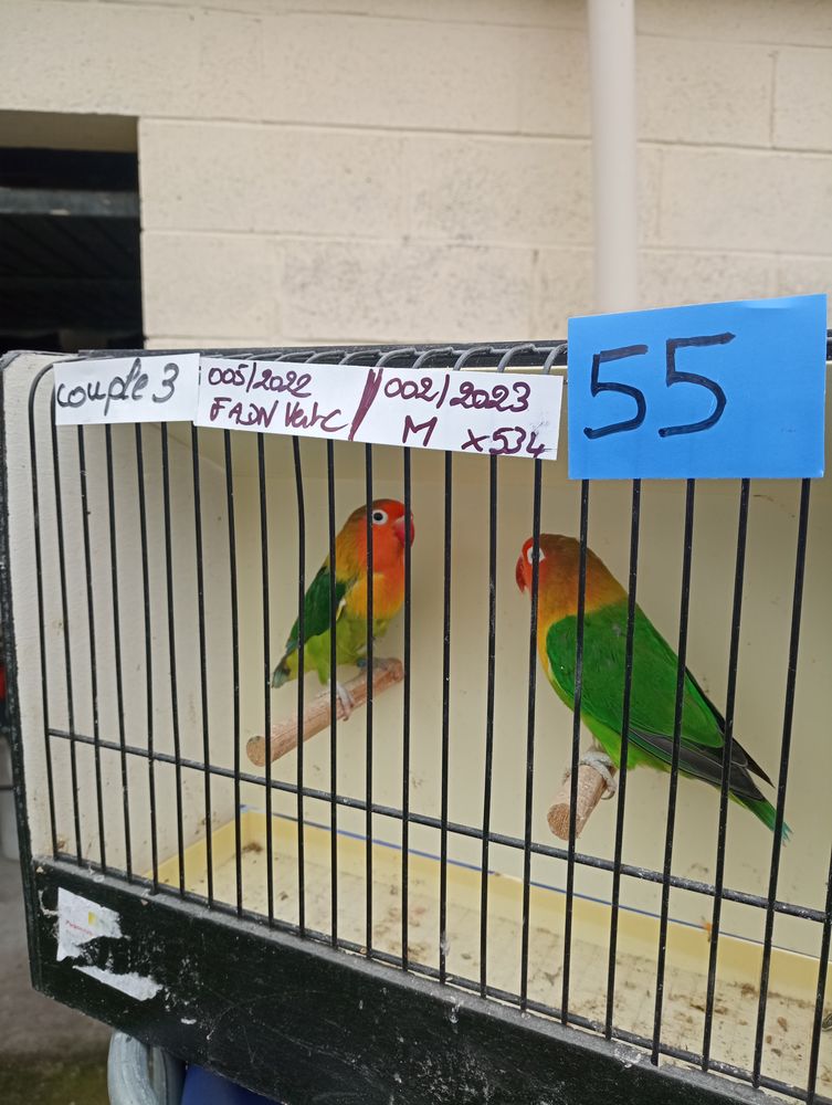 Ins&eacute;parable 60 59283 Raimbeaucourt