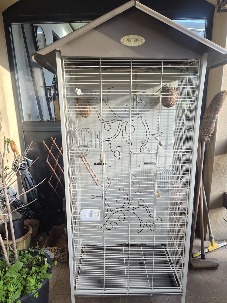 Grande cage Arabesque Axelle oiseaux 50 30140 Bagard