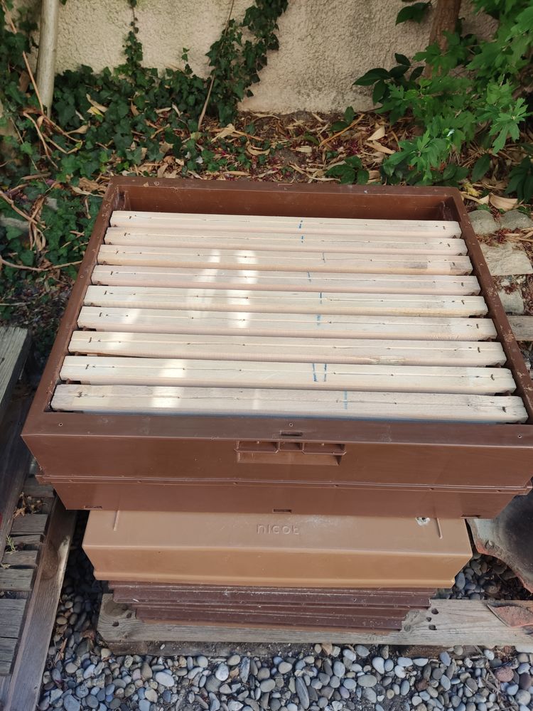 Ruches hausses Dadant 15 13220 Ch�teauneuf-les-martigues