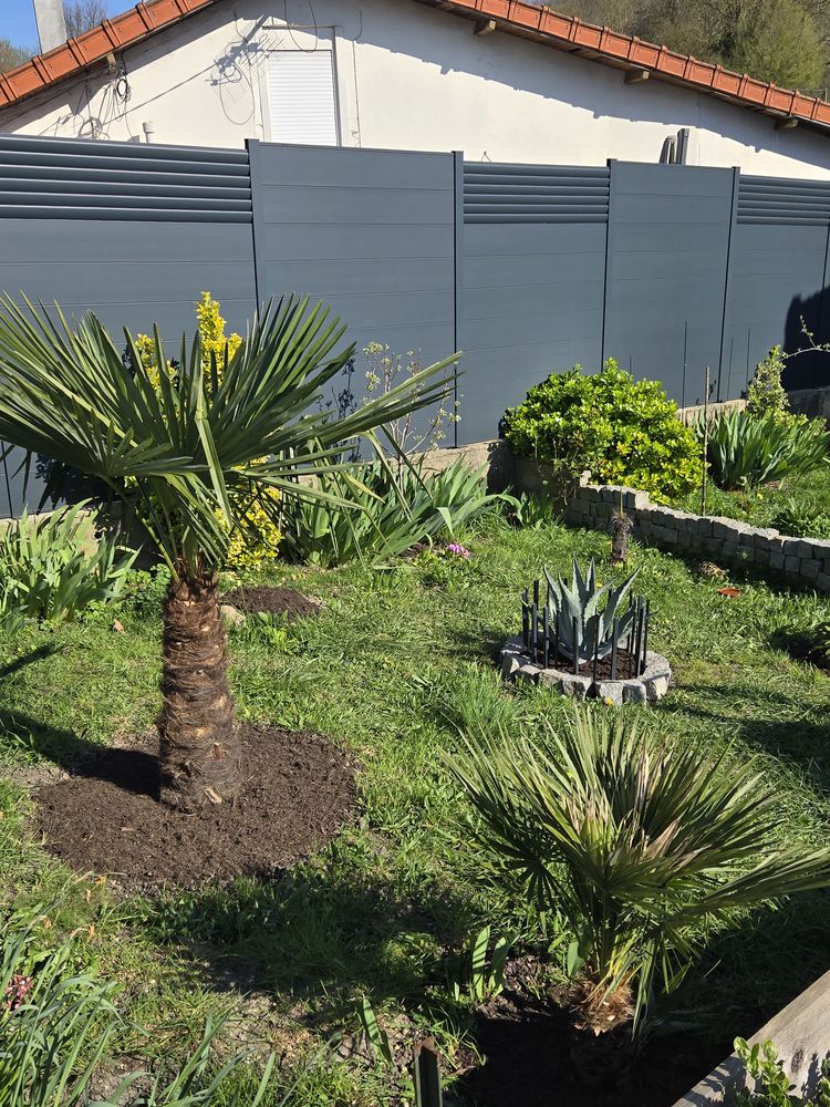 Aceuil avec toute les bonnes conditions,grosse tortue Herman 0 95200 Sarcelles