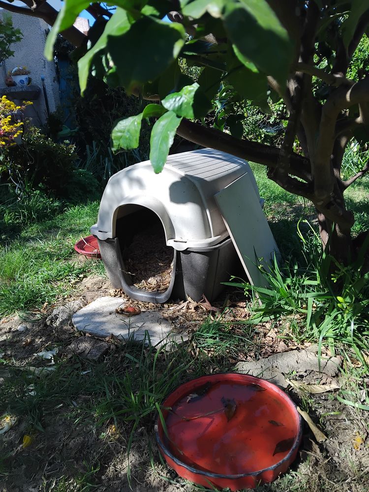 PERPIGNAN NICHE EN PLASTIQUE POUR CHIEN OU CHAT OU AUTR 20 66000 Perpignan