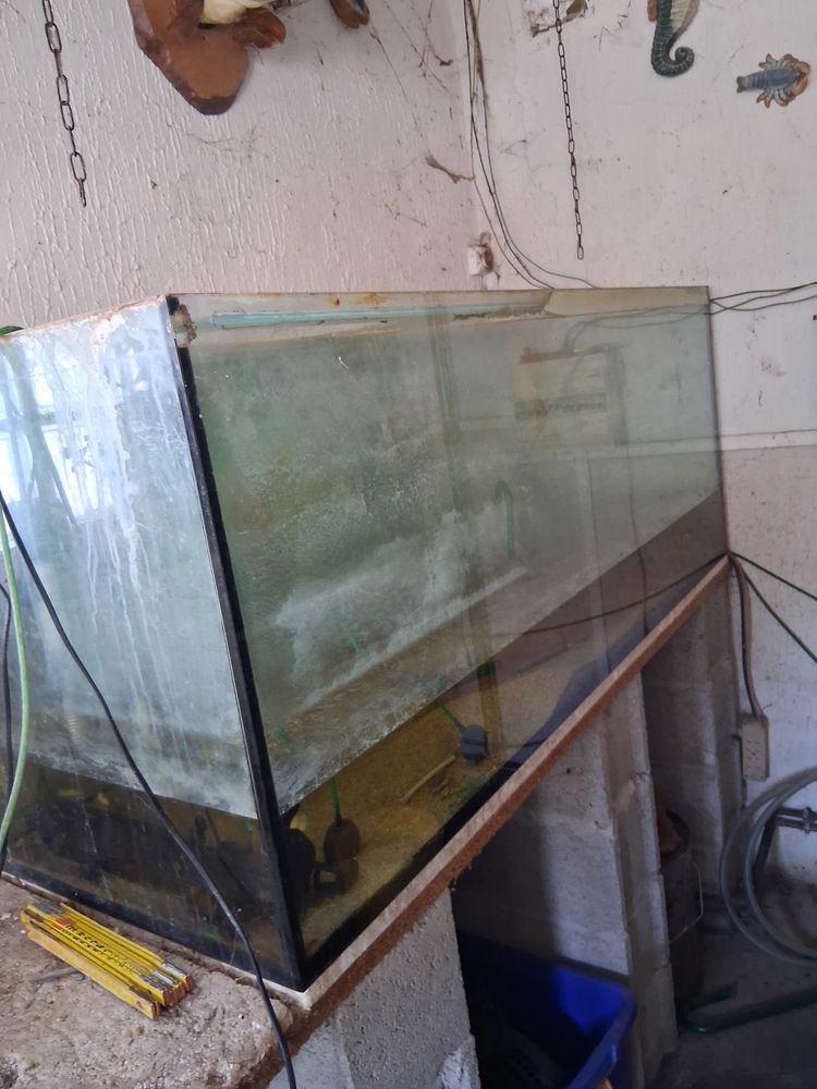  aquariums 
200 57350 Stiring-wendel