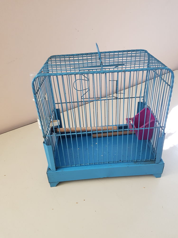 Cage oiseaux 15 93160 Noisy-le-grand