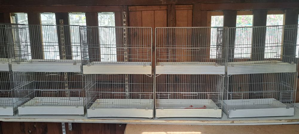 CAGES D ACCOUPLEMENT 10 93150 Le blanc-mesnil