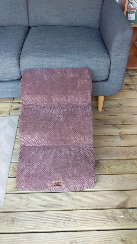 ESCALIER CHIEN 30 37160 Descartes