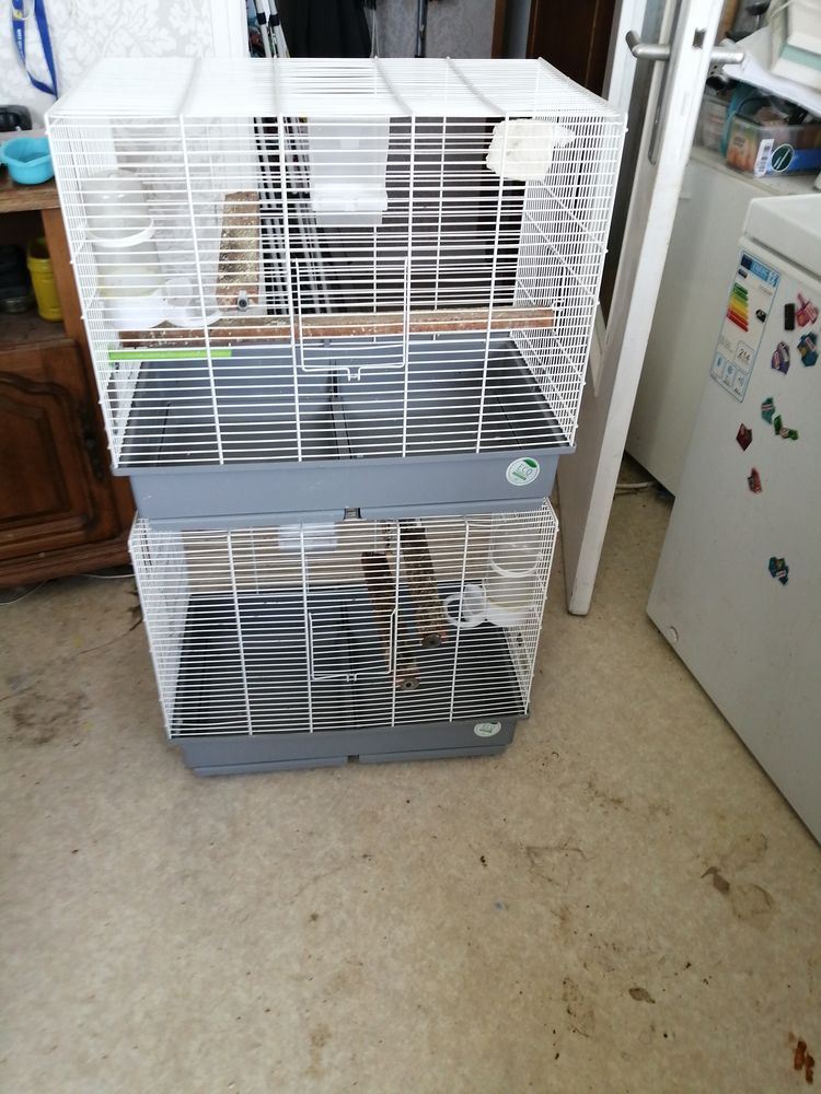 cage oiseau petite taille syle p&eacute;rruche ondul&eacute; canarie serin 30 29490 Guipavas