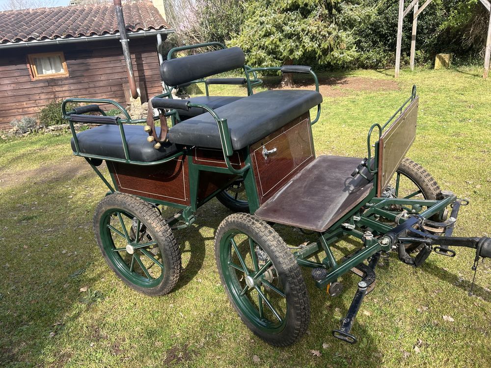 Caleche 4/5 personnes, pneus &agrave; l'aire et tout L'equipage ave 1500 24200 Sainte-nathal�ne