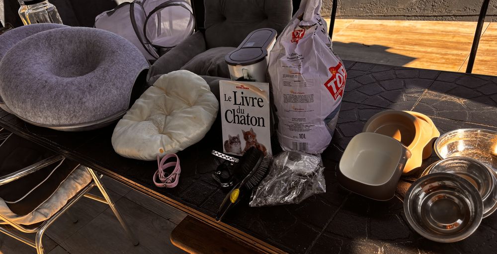 Accessoires pour chat 30 33480 Sainte-h�l�ne