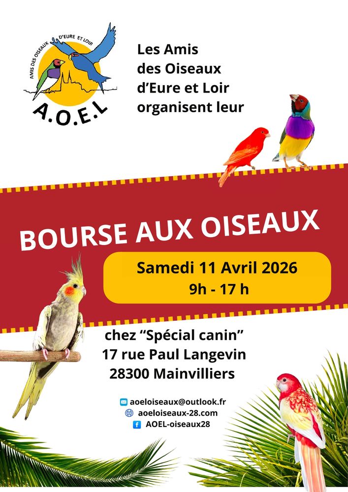 Bourses aux oiseaux 0 78125 Saint-hilarion