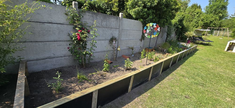 Re cherche Hermann femelle adulte.  Je poss&egrave;de autorisations 0 62000 Arras