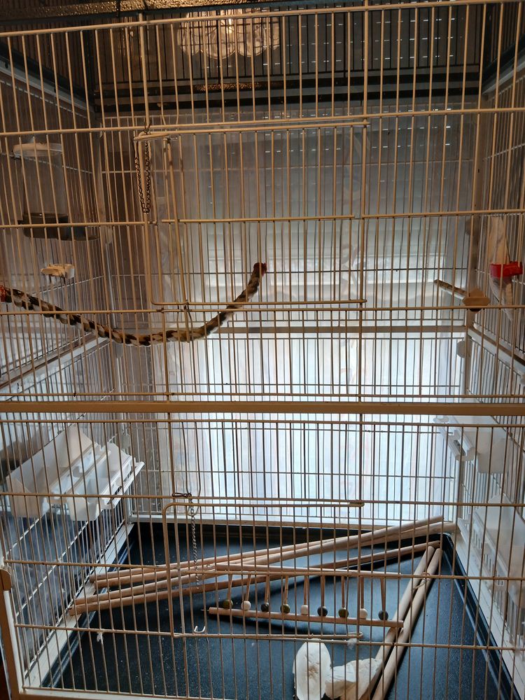 Cage voli&egrave;re pour oiseaux 85 38360 Sassenage