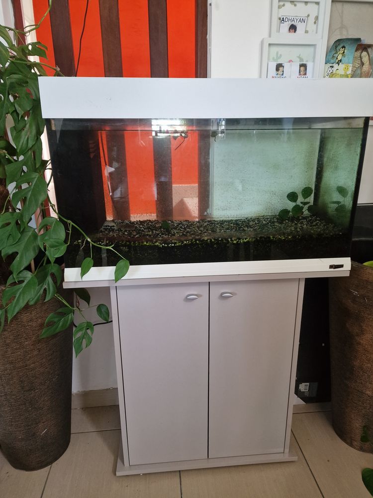 Aquarium 250 97490 Sainte-clotilde