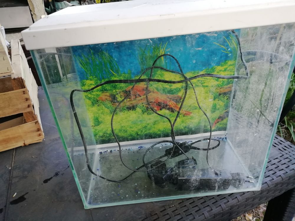 aquarium 30 57310 Gu�nange