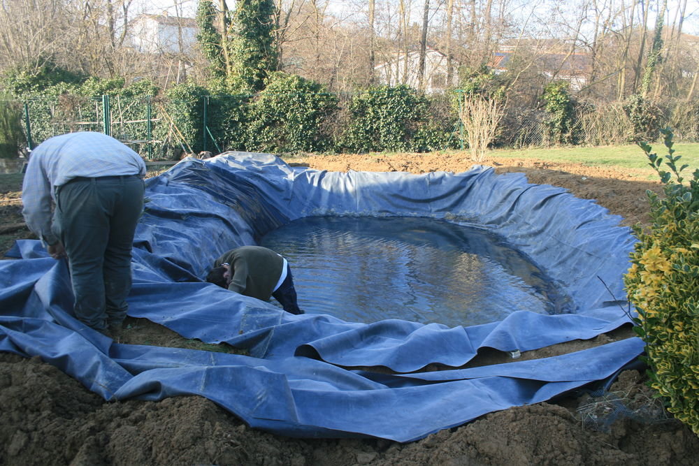 Cherche poissons  rouges en  don 0 01390 Ranc�