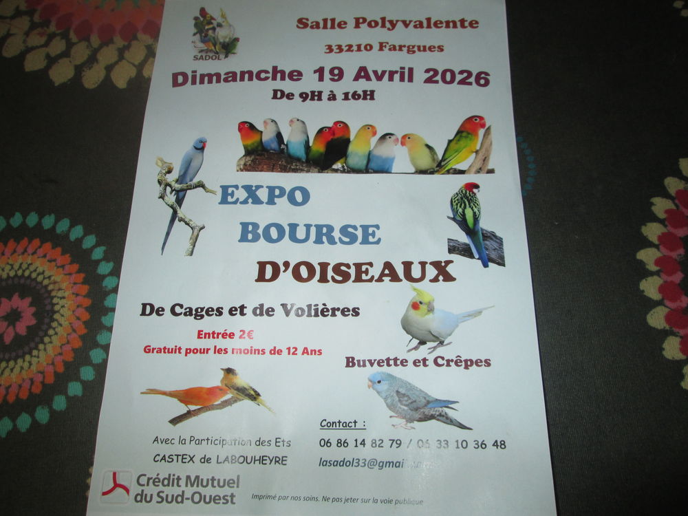 EXPO/BOURSE D'OISEAUX FARGUES 33210 2 33210 Fargues