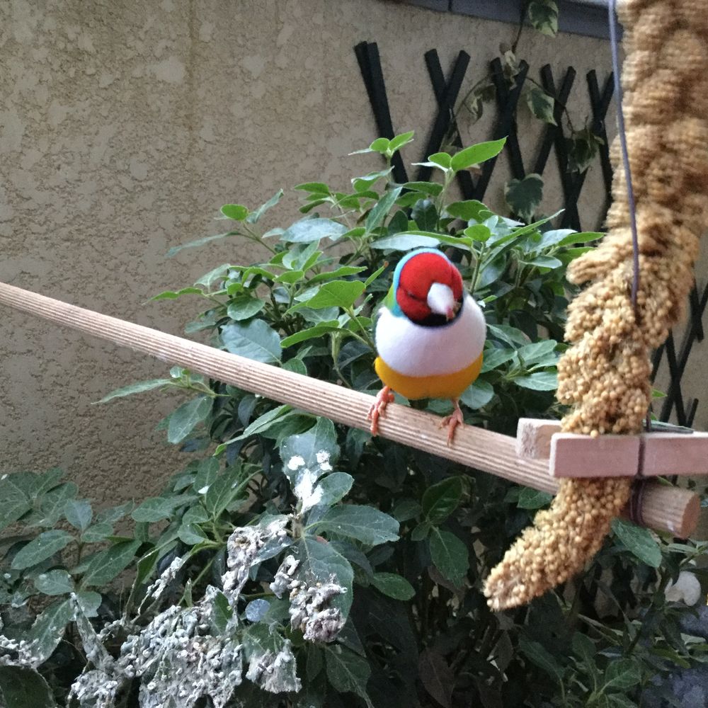 Diamant de Gould 50 30210 Remoulins