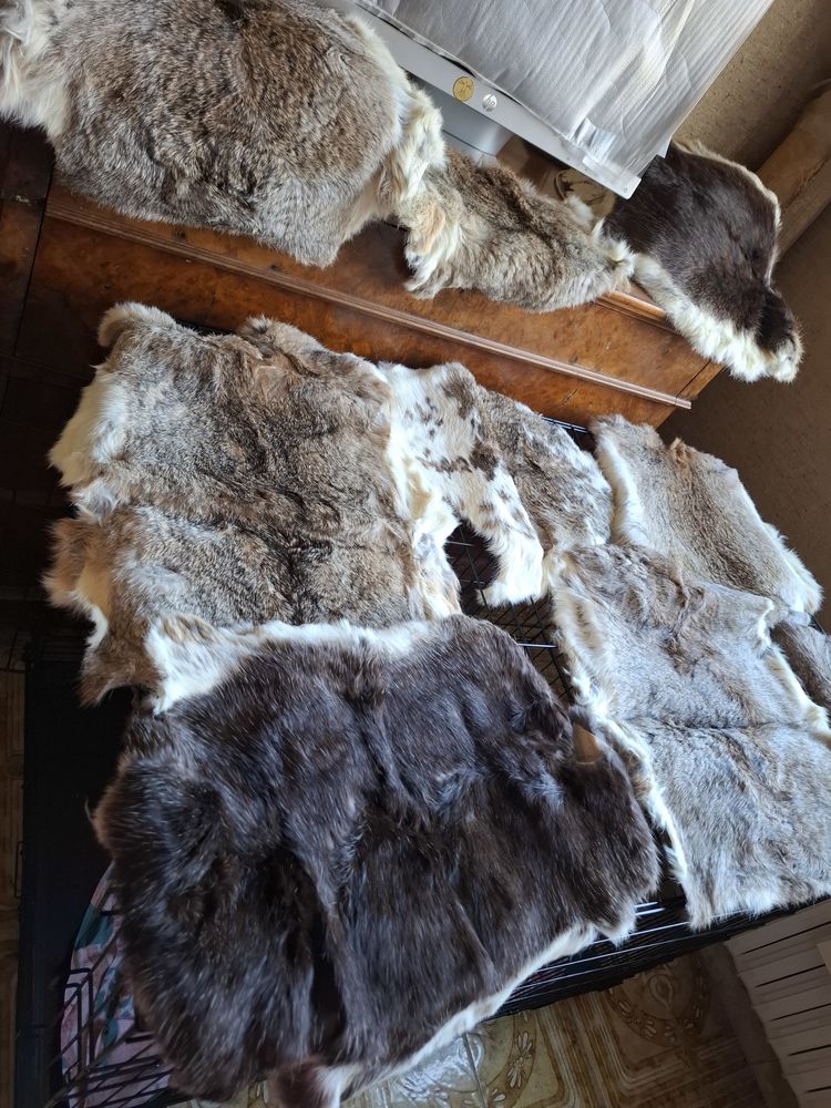 Peau de Lapin 50 38140 Beaucroissant