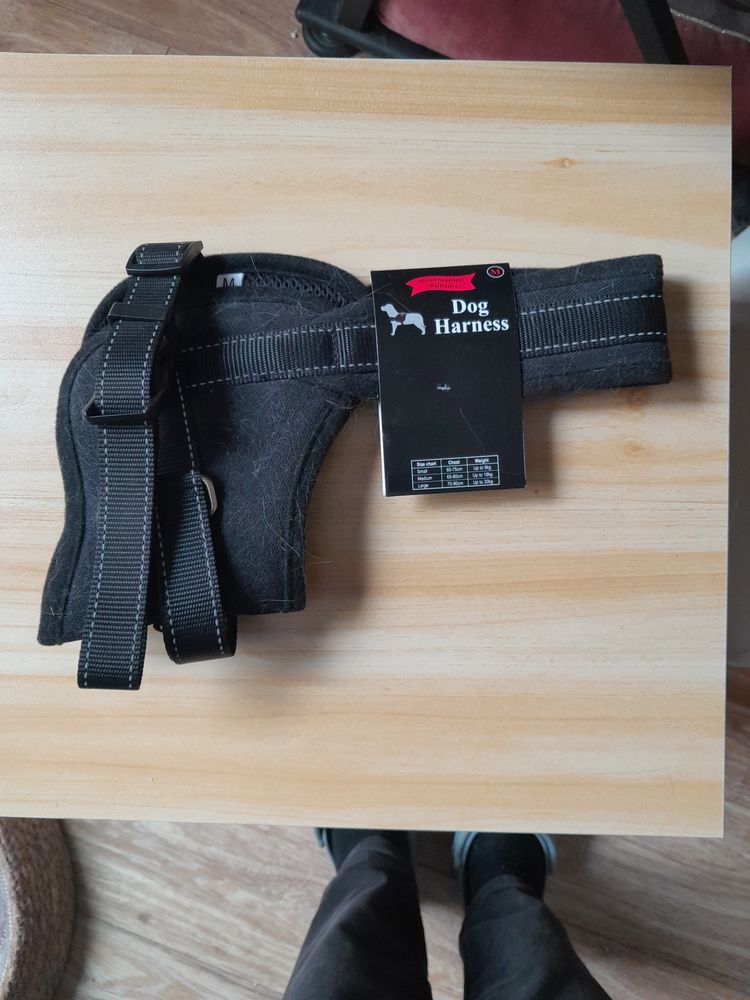 HARNAIS Chien 5 69400 Villefranche-sur-sa�ne