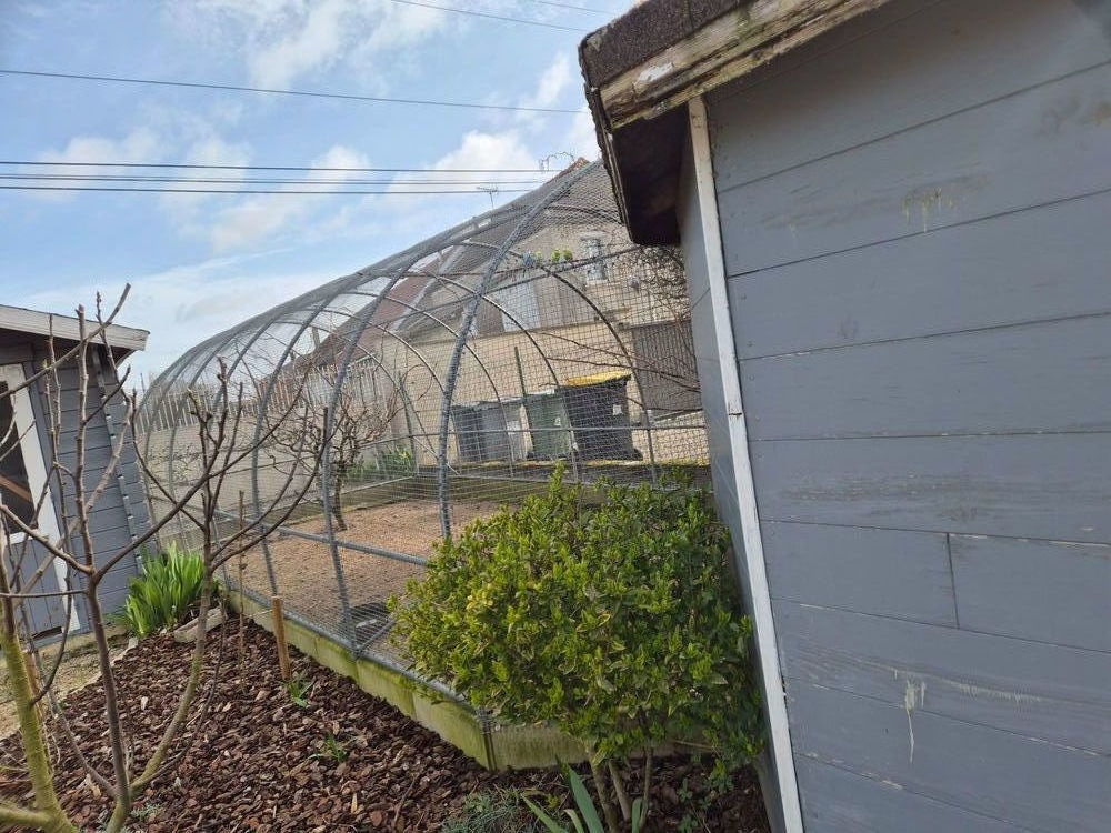 Voli&egrave;re 18m&sup2; 250 51150 Aulnay-sur-marne