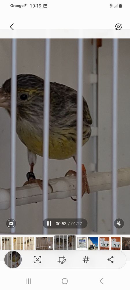 Canaris 60 33860 Marcillac