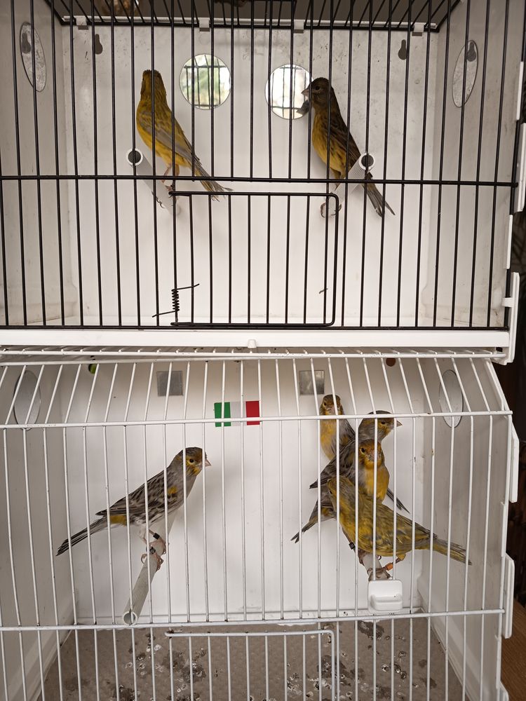 Canaris 20 44390 Nort-sur-erdre