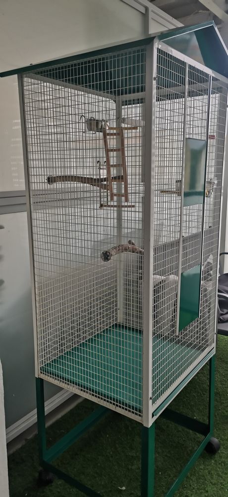 GRANDE CAGE OISEAUX 80 33130 B�gles