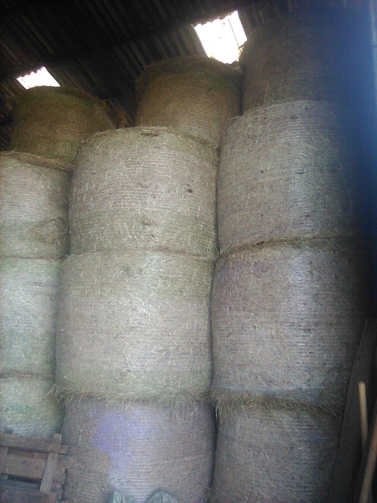 foin 2025 25 25260 Montenois