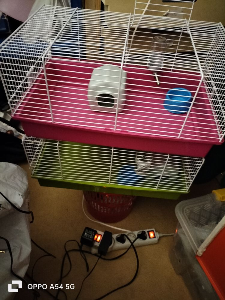 2 cage ? ? petit rongeur 5 77280 Othis