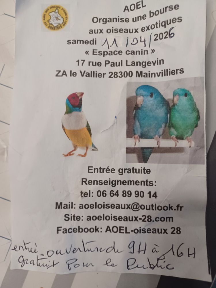 Bourse aux oiseaux 50 28300 Mainvilliers