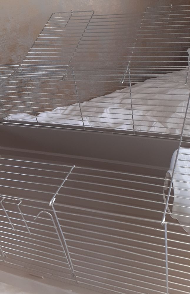 Grande cage pour rongeurs cochons d'inde, lapins... 10 92500 Rueil-malmaison
