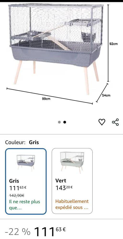 lapin nain b&eacute;lier + cage deux &eacute;tages 80 91240 Saint-michel-sur-orge