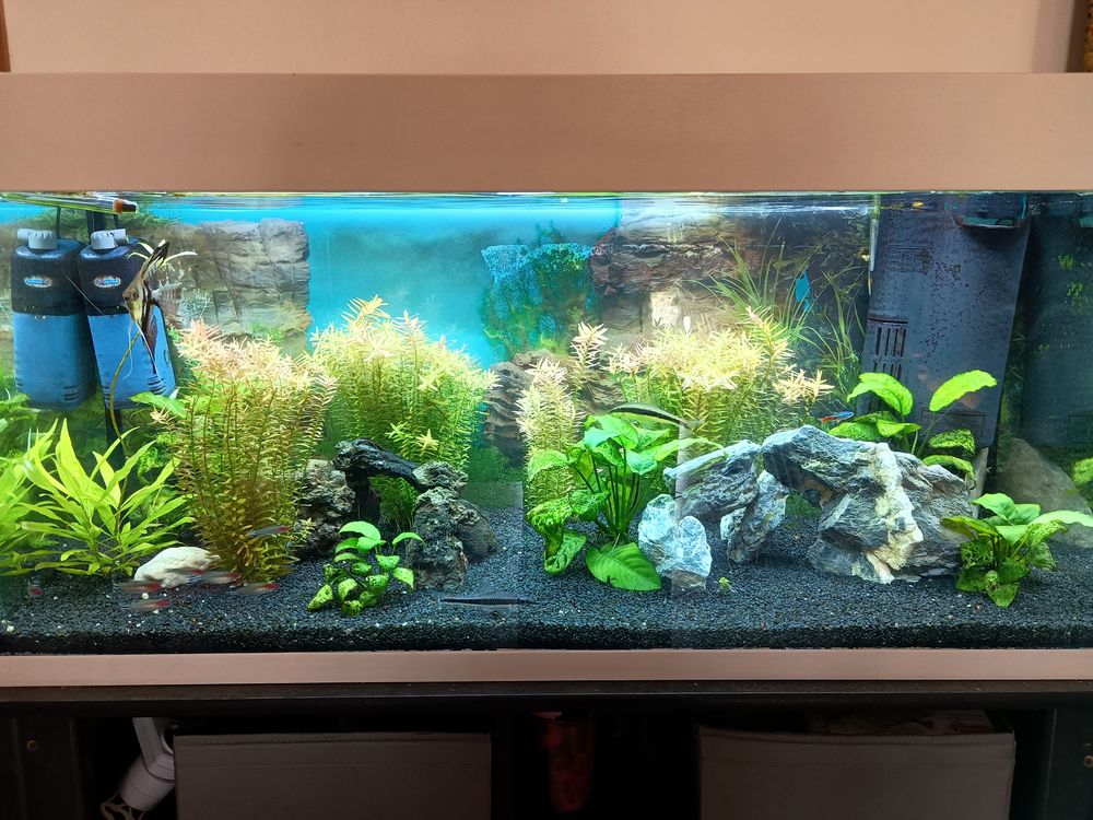 aquarium 200 litres avec meuble et rampe LED. 150 13730 Saint-victoret