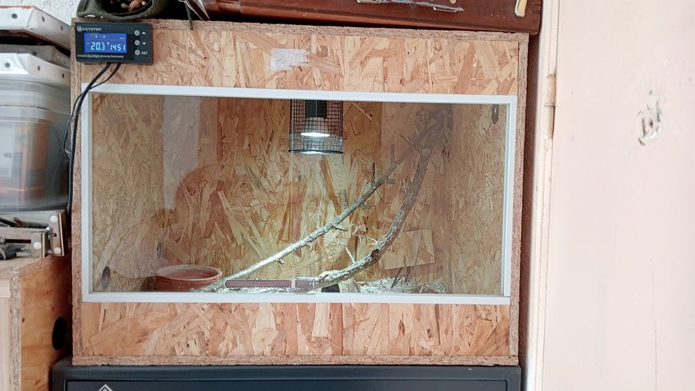 Terrarium OSB 50 24260 Saint-f�lix-de-reillac-et-mortemart