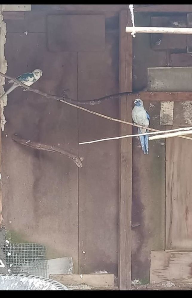 Couples de pennant 150 50620 Graignes