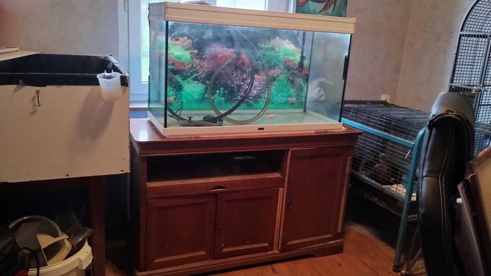 Aquarium tout &eacute;quip&eacute; avec meuble 240l 
200 02700 Fri�res-faillou�l