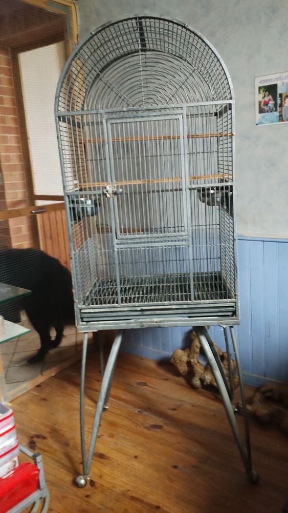Cage oiseaux ou chinchilla 40 02700 Fri�res-faillou�l