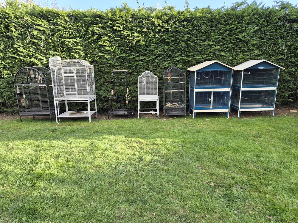 diverses cages oiseaux 80 80500 Fescamps